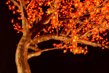 Load image into Gallery viewer, LED high simulation Cherry blossoms tree light,Height: 3.5m(11.5ft)
