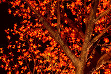 Load image into Gallery viewer, LED artificial Cherry Blossom Tree lights Outdoor lighted trees,Height: 4.5m(14.76ft)