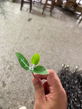 画像をギャラリービューアに読み込む, LED ハイシミュレーション桜の木ライト 屋外照明付き木 高さ: 2m(6.56フィート)