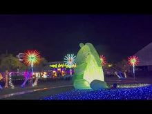 Load and play video in Gallery viewer, Garden Decoration LED Firework Light holiday lights 10ft