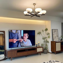 Load image into Gallery viewer, Hall Light Bedroom Light LED 8-Light Glass Chandelier Black

