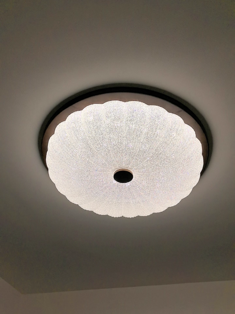 Study bedroom ceiling light LED minimalist modern lighting fixture