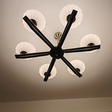 Load image into Gallery viewer, Hall Light Bedroom Light LED 8-Light Glass Chandelier Black
