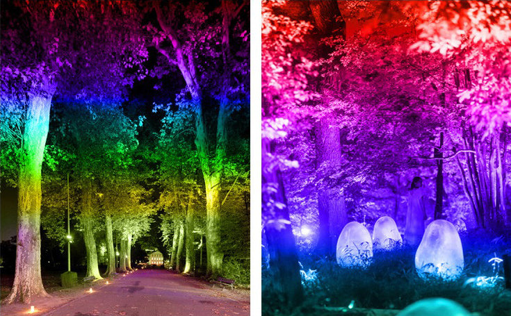 Outdoor Rainbow Flood Light Tree Lamp Colorful LED Landscape Lighting