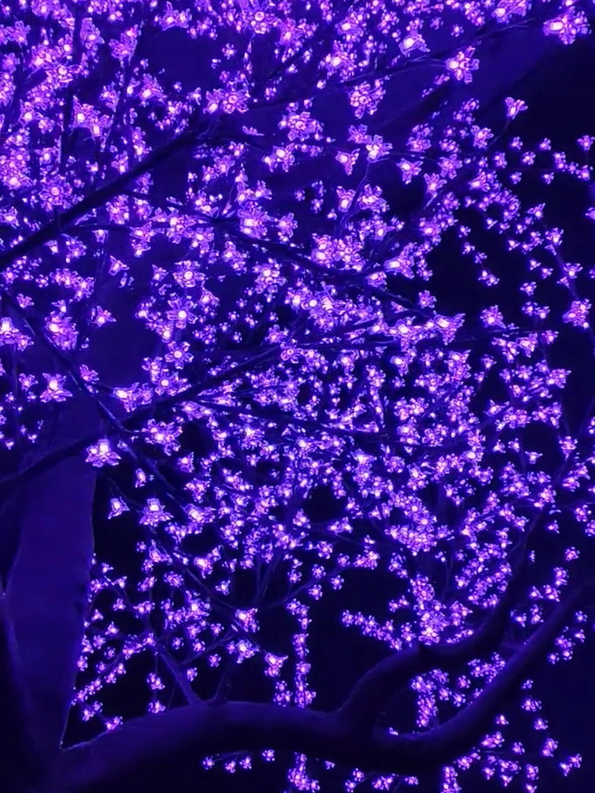 LED High simulation Cherry Blossom Tree lights Outdoor lighted trees,Height: 4.5m(14.76ft)