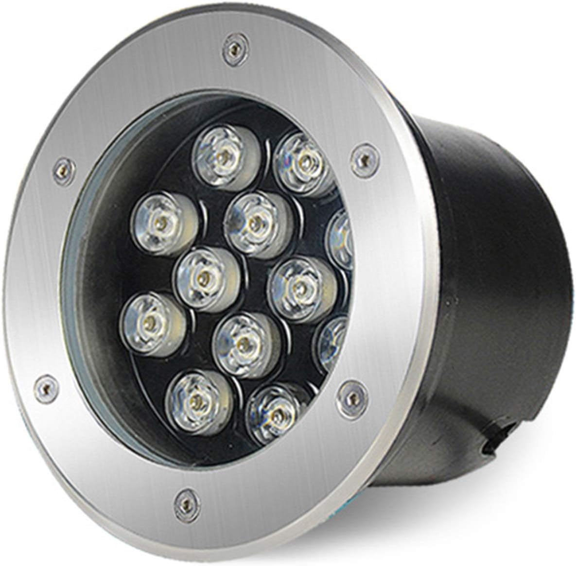24V IP68 LED Buried Light for Landscape & Fountain – Green tree lights