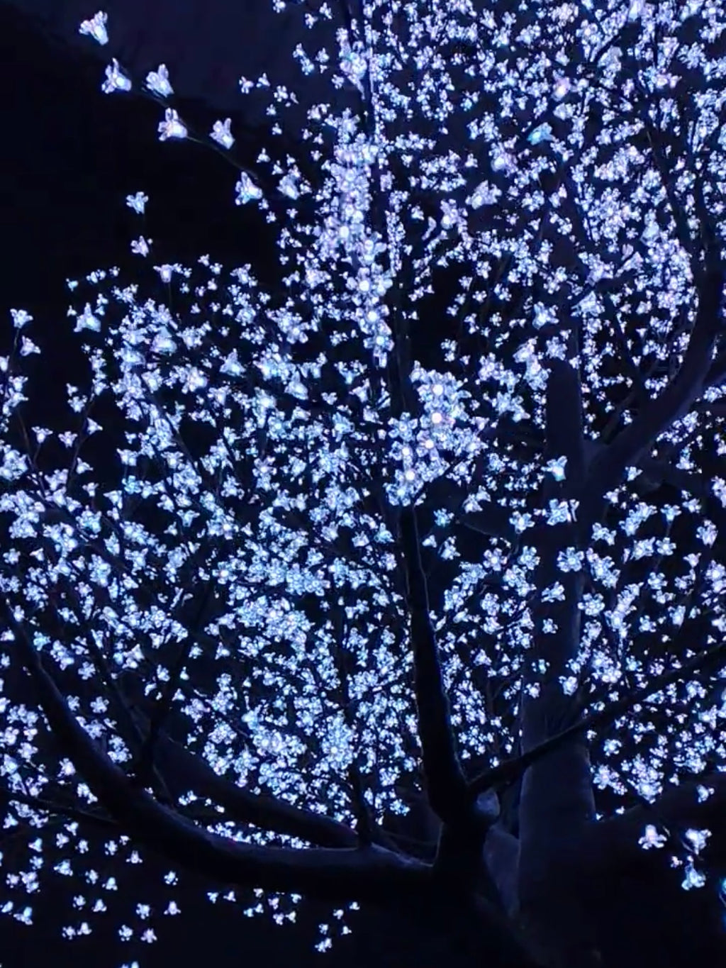 LED High simulation Cherry Blossom Tree lights Outdoor lighted trees,Height: 4.5m(14.76ft)