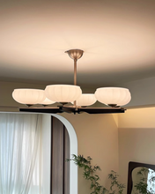 Load image into Gallery viewer, Hall Light Bedroom Light LED 8-Light Glass Chandelier Black
