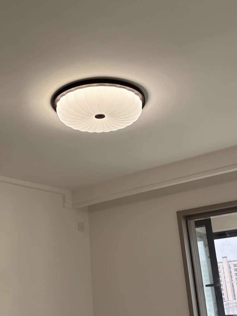 Study bedroom ceiling light LED minimalist modern lighting fixture