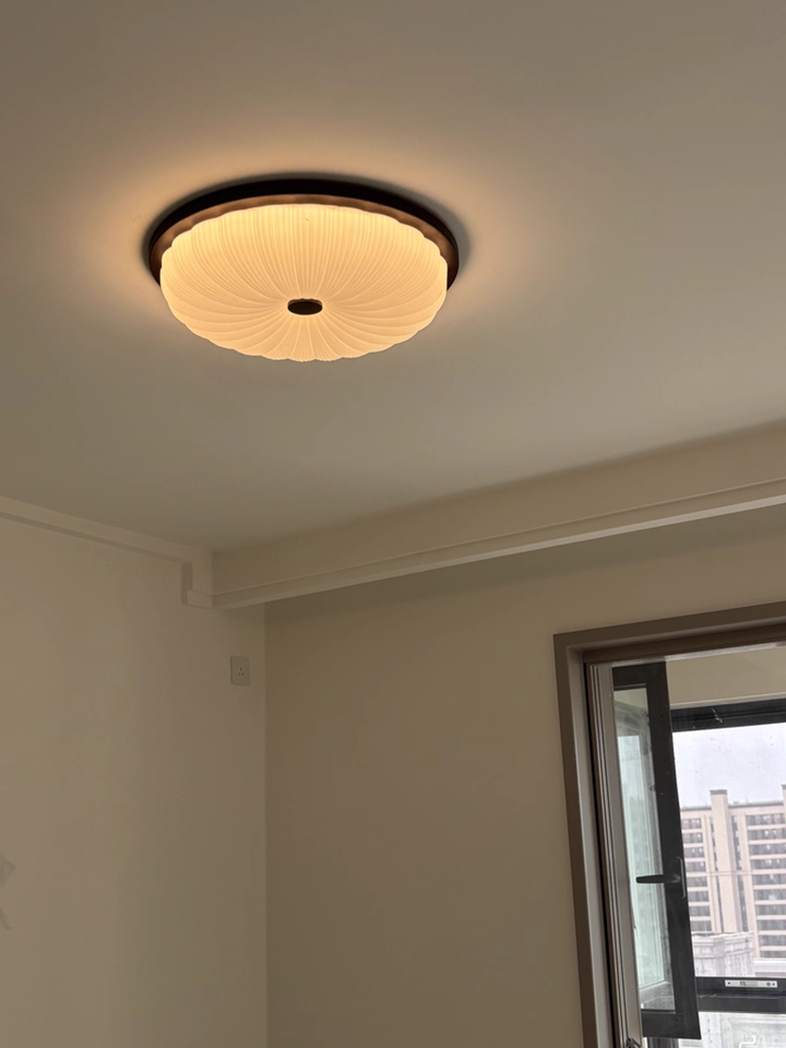 Study bedroom ceiling light LED minimalist modern lighting fixture