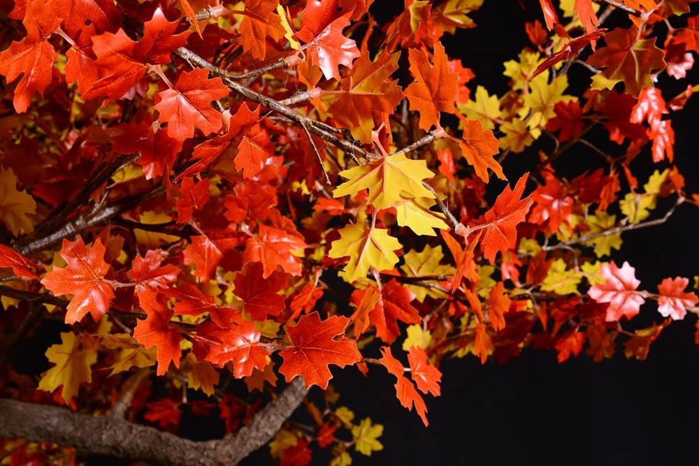 App-Controlled RGBW LED Maple Tree Light, Bluetooth Color Wheel Outdoor Decorative Tree – 3.5m / 11.5ft