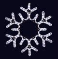2D Snowflake motif LED Decorative Light