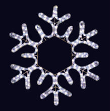 Load image into Gallery viewer, 2D Snowflake motif LED Decorative Light
