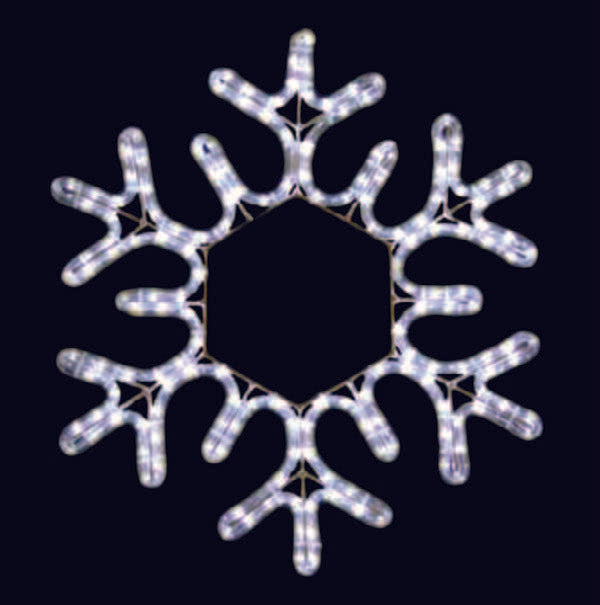 2D Snowflake motif LED Decorative Light