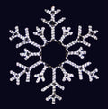 2D LED Snowflake motif Christmas lights