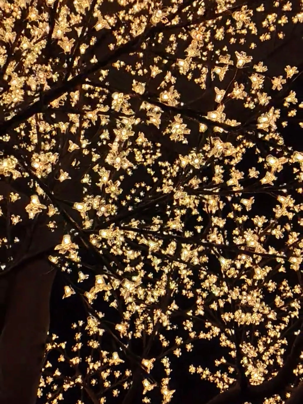 LED High simulation Cherry Blossom Tree lights Outdoor lighted trees,Height: 4.5m(14.76ft)