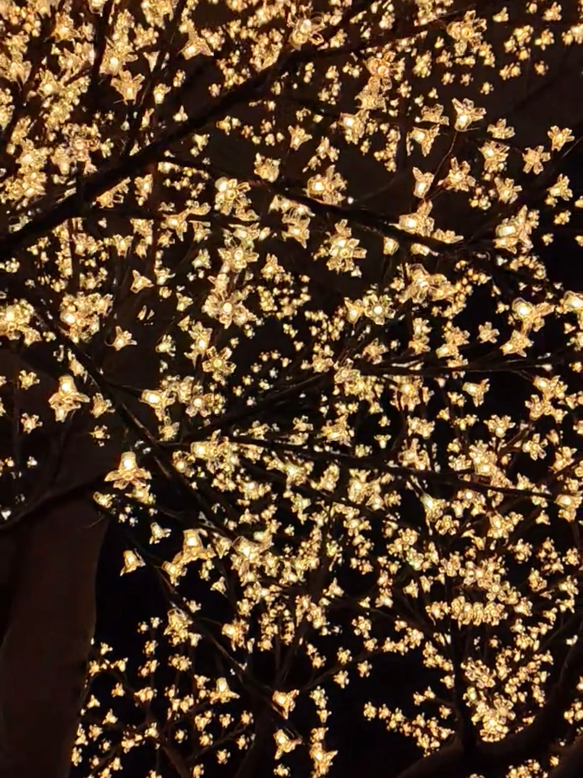 LED High simulation Cherry Blossom Tree lights Outdoor lighted trees,Height: 4.5m(14.76ft)