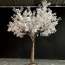 Load image into Gallery viewer, RGBW LED super high simulation ginkgo tree light 14ft
