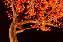 Load image into Gallery viewer, LED high simulation Cherry blossoms tree light,Height: 3.5m(11.5ft)
