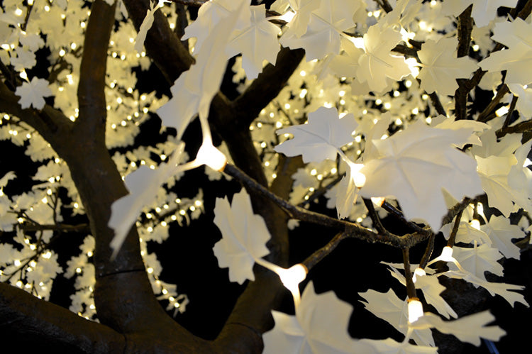 LED Maple Tree – RGB multicolor LED lighting, for garden and landscape lighting from gtreelights.com