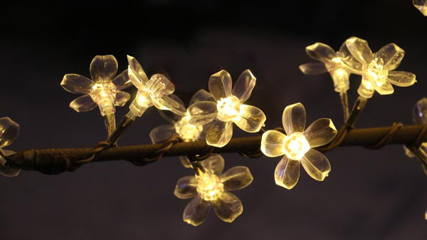 Simulation Cherry blossoms