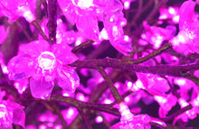 Load image into Gallery viewer, Pink LED high simulation Cherry blossoms tree light,Height: 1.3m(51in)
