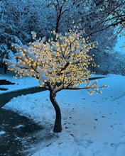 Load image into Gallery viewer, Outdoor LED cherry blossoms tree lights RGB Holiday Decorative Lighting Height 2.5m(8.2ft)
