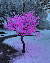 Load image into Gallery viewer, Outdoor LED cherry blossoms tree lights RGB Holiday Decorative Lighting Height 2.5m(8.2ft)
