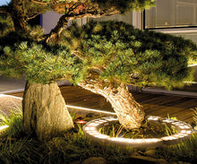Load image into Gallery viewer, LED Hug Tree lamp die-cast aluminum outdoor spotlight circular courtyard lamp IP65
