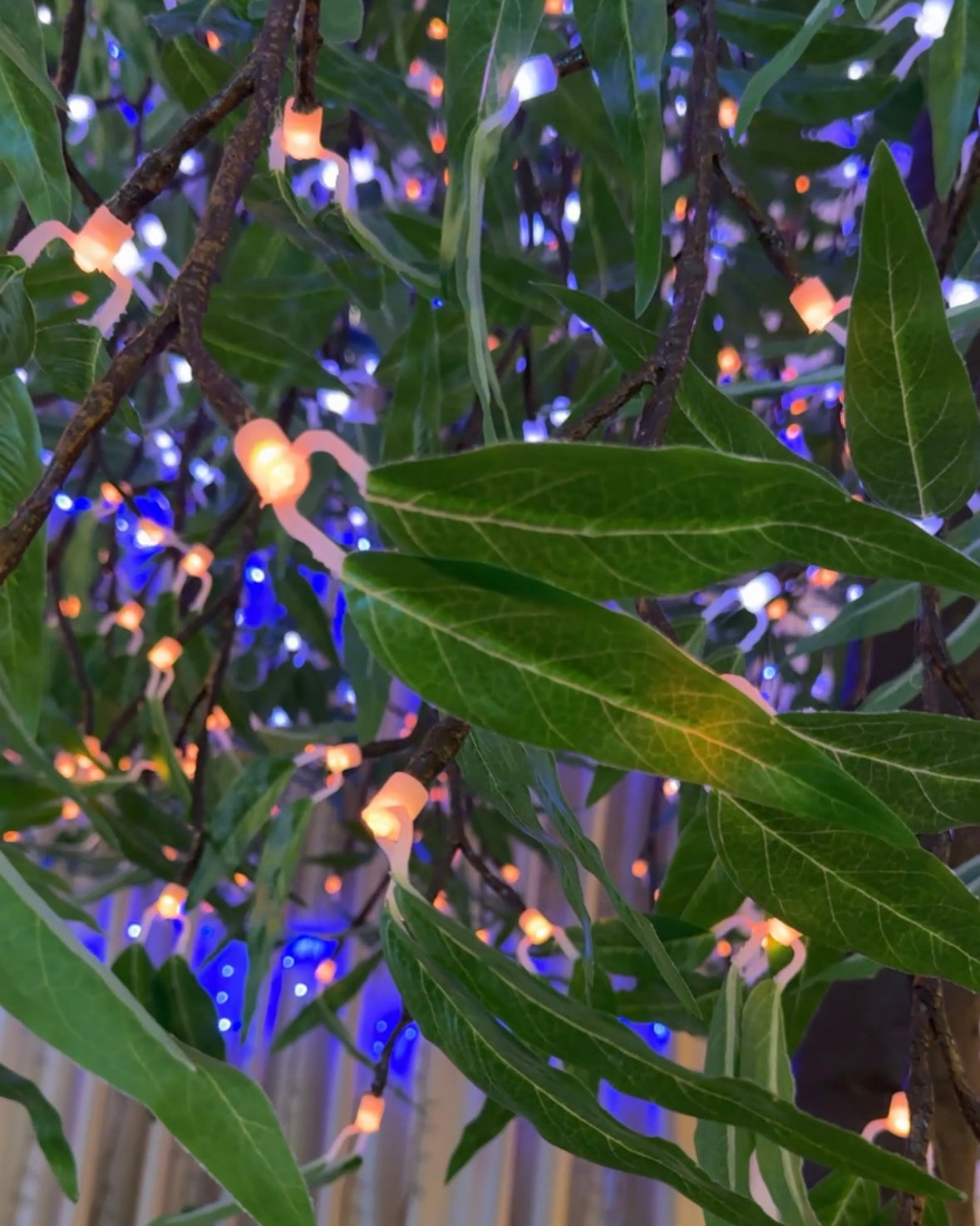 2.4m LED Gum Tree Light detail for hotel garden plaza and event decoration