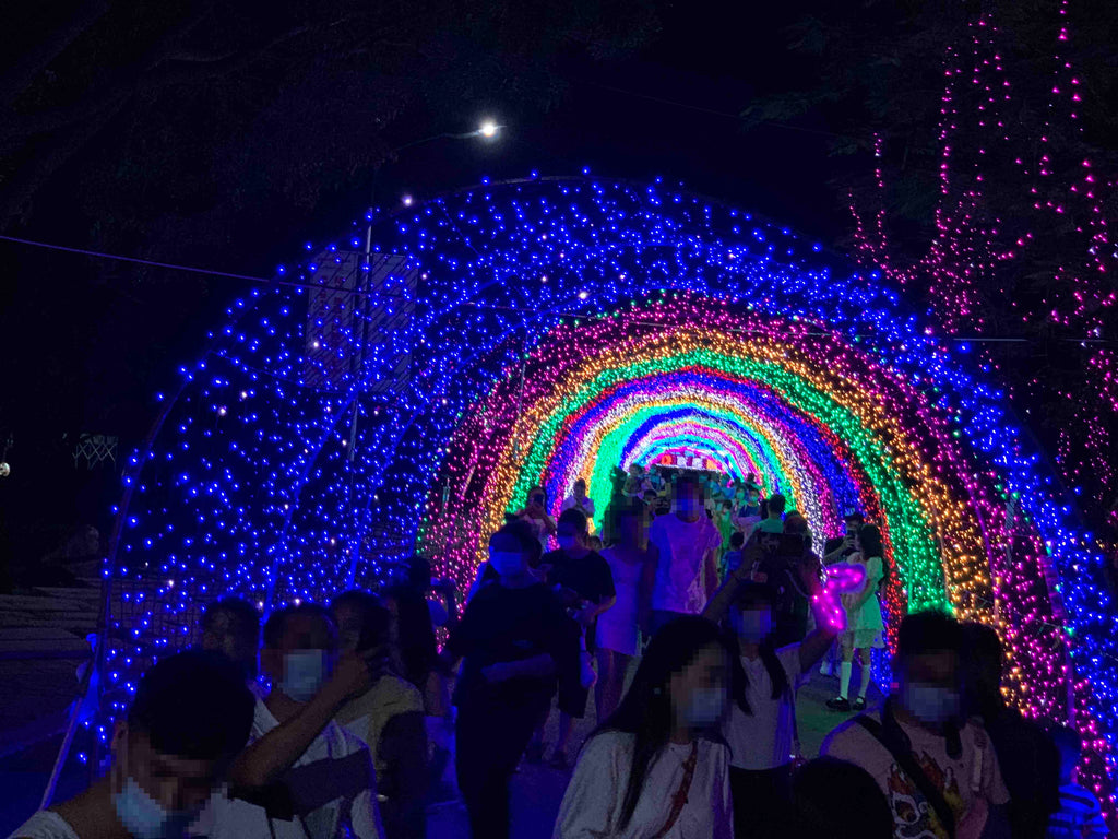 Outdoor LED Curtain Lights for Commercial Holiday Decoration