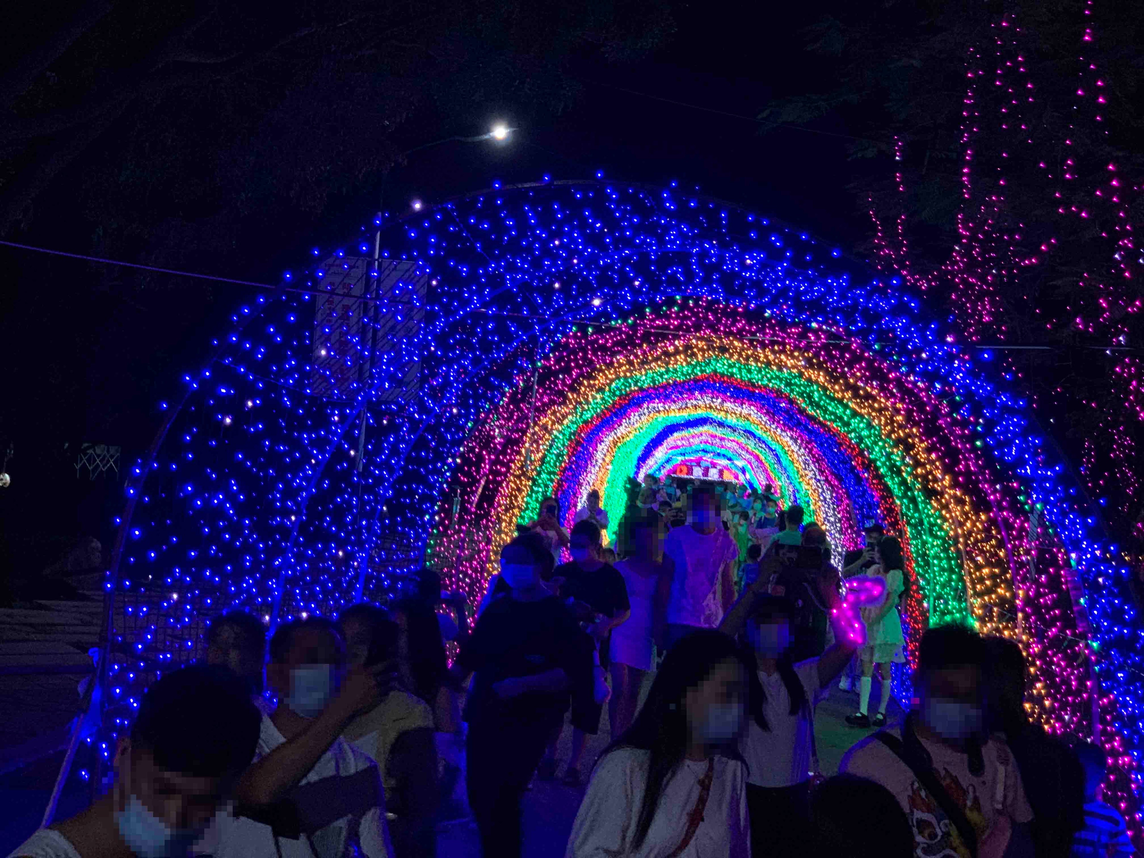 Outdoor LED Curtain Lights for Commercial Holiday Decoration