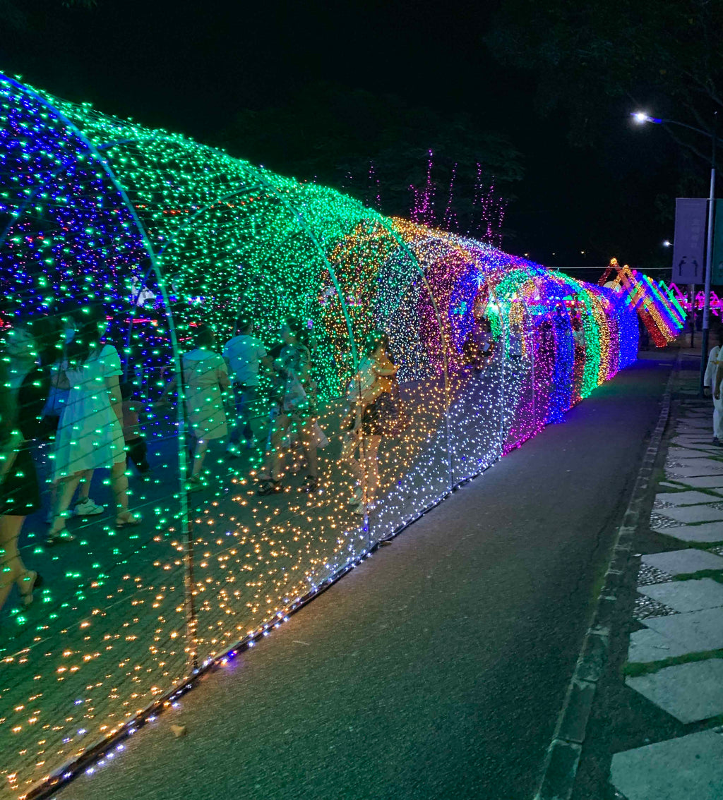Outdoor LED Curtain Lights for Commercial Holiday Decoration