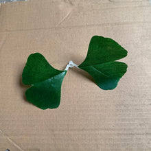 Load image into Gallery viewer, Simulation ginkgo leaves

