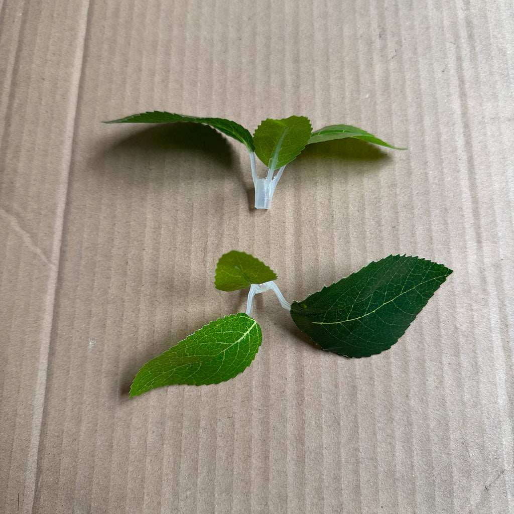 Simulation ginkgo leaves