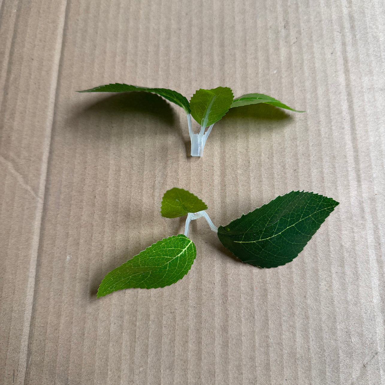 Simulation ginkgo leaves