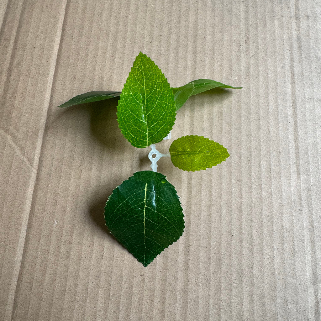 Simulation ginkgo leaves