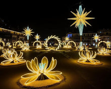 Load image into Gallery viewer, Customized Christmas decorative light Outdoor Holiday Lamp
