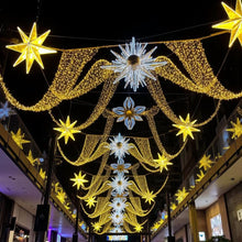 Load image into Gallery viewer, LED street pole decoration lamp LED motif light pole 14
