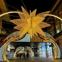 Load image into Gallery viewer, Customized LED motif light Christmas decorative light Outdoor Holiday Lights
