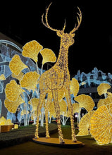 Load image into Gallery viewer, Outdoor Large 3D Reindeer Motif Lights Waterproof IP 65 Giant LED Christmas Lights  Warm White
