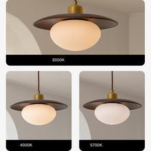 Load image into Gallery viewer, LED wall lamp bedside chandelier bar lamp Japanese style 2025 new solid wood lamp
