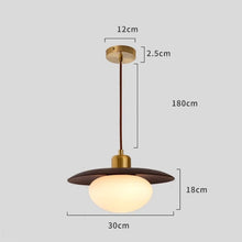 Load image into Gallery viewer, LED wall lamp bedside chandelier bar lamp Japanese style 2025 new solid wood lamp
