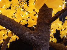 Load image into Gallery viewer, Outdoor artificial LED high Simulation Ginkgo Tree lights,Height: 3.5m(11.5ft)
