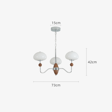 Load image into Gallery viewer, Living room chandelier hall lamp glass dining room chandelier
