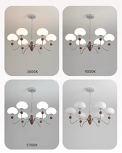 Load image into Gallery viewer, Living room chandelier hall lamp glass dining room chandelier
