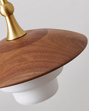 Load image into Gallery viewer, Copper glass LED wall lamp
