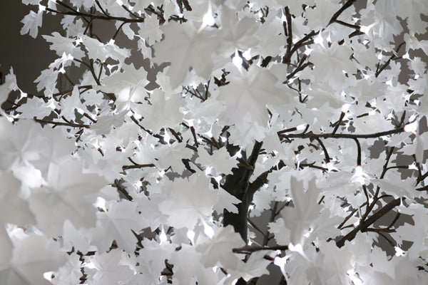 LED maple leaf detail showing uniform brightness and realistic decorative lighting effect for commercial projects