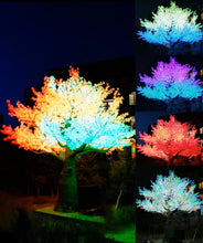 Load image into Gallery viewer, DMX512 smart controlled Multi color LED Ginkgo tree lights Height:4m(13ft)
