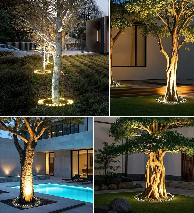 LED tree ring uplights illuminating trees in garden, courtyard and poolside landscaping at night.